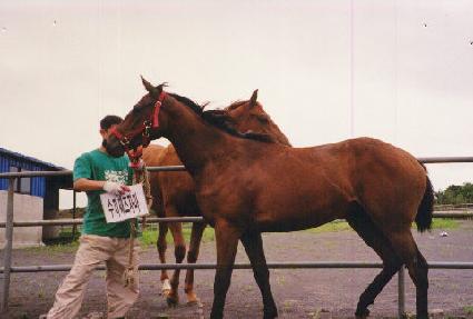 ��ȣ���� ����