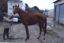 ���� (SEO GYEONG) ����