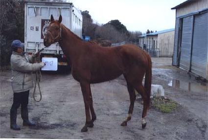 ���� ����