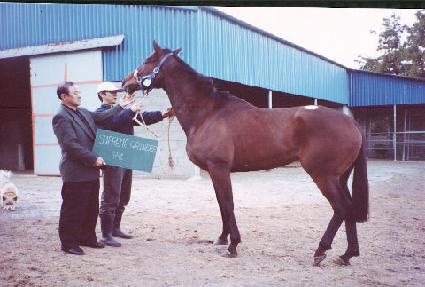 �������׶��δ� ����