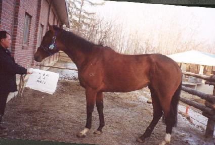 �񺸸� ����