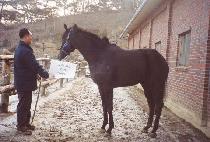 ��Ÿ���� (STARZERO) ����