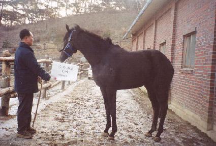 ��Ÿ���� ����