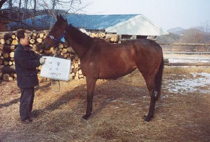 ���� ����