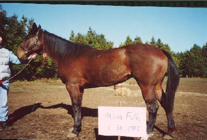 �׷������� ����