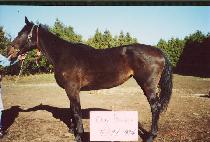 �ƿ����ϸ� (OUR BAILEY) ����