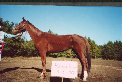 �����ε���� ����