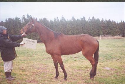 ���̺��� ����