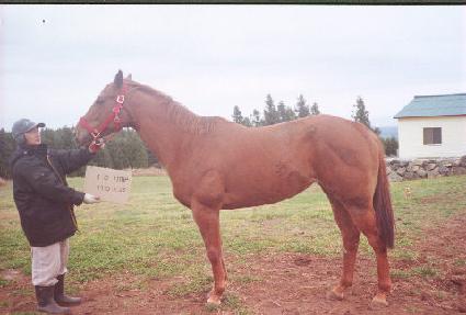 ���̵�Ÿ�� ����