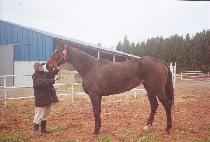 ����ƼŸ�Ӹ��� (IT��S TEE TIME LILY) ����