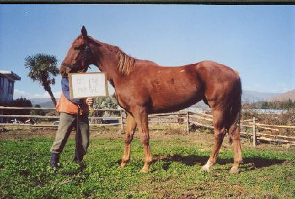 �̿� ����