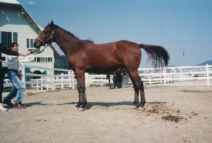 �뿬�� ����