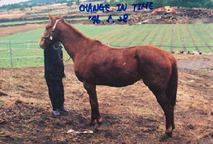 ü������Ÿ�� ����