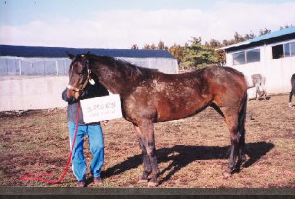 �׷��巣�� ����