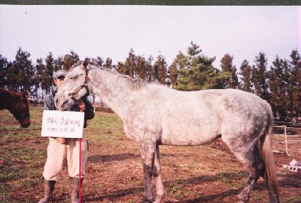 ���̵�������� ����