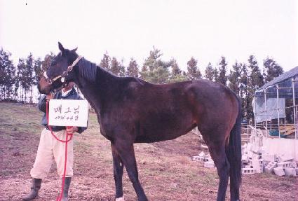 �ű׳� ����