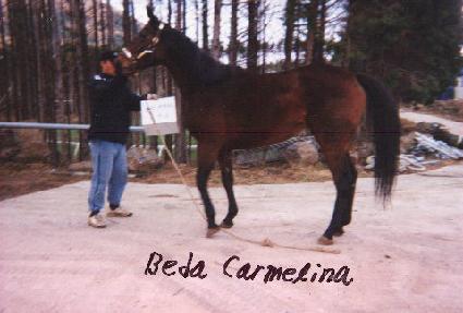 ����ī�Ḯ�� ����