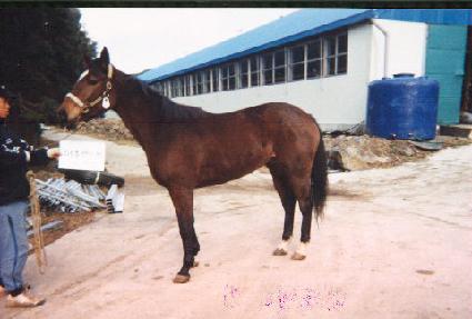 ��Ȧ������ ����