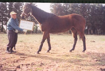 ĥ������� ����