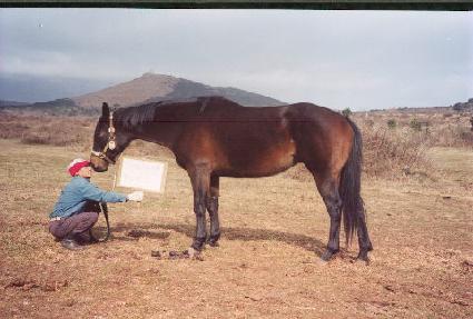 �����̱�� ����