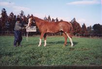 Ÿ�̴��̵�Ʈ���� (TIE DYED TREASURE) ����