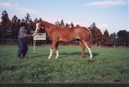 Ÿ�̴��̵�Ʈ���� ����