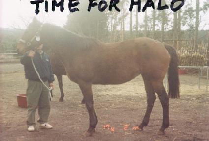 Ÿ�����ҷο� ����