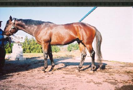 ũ��Ĺ ����