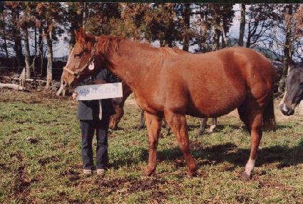 �ý��ͽ����� ����