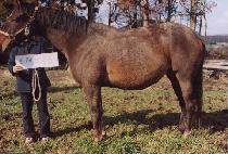 Ʈ������ƪ (TRAVELIN�� TUNE) ����