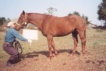 ���Ӽ� ����