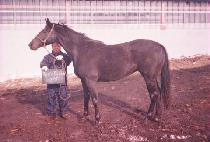 ��������� (DEVIL��S DERVISH) ����