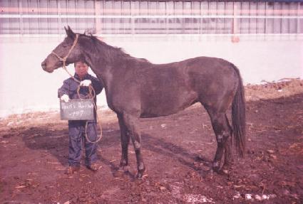 ��������� ����