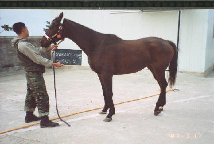 �극Ŭ������ ����