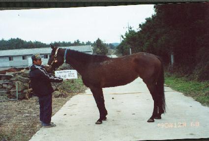 �ϴ�������Ƽ ����