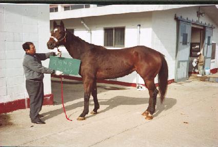 �δ����� ����