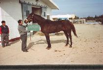 IMPERIAL THANKS picture