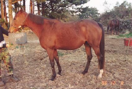 ī�� ����