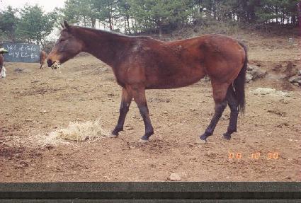 ���Ͼ���� ����