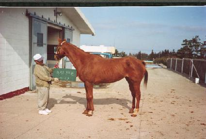 ���ƽ������� ����