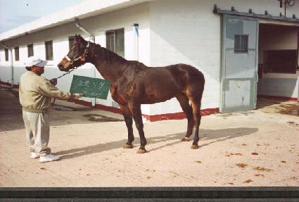 ����̼� ����