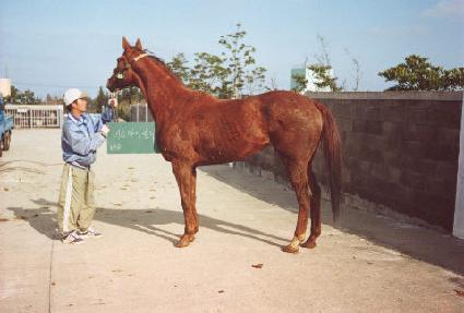 Ű�����̰�� ����