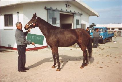 ��Ż�󸮾� ����