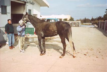 ���̶���Ʈ�� ����