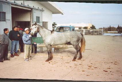 ������ĳ�� ����