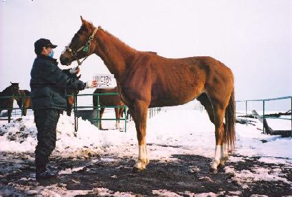 �����̵��������� ����