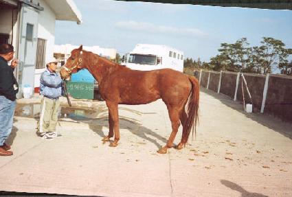 ���ܾ���̵庸�� ����