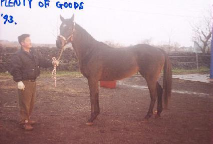 �÷�Ƽ��걸�� ����