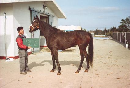 �����׹̴Ͻ��� ����