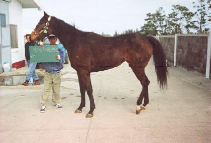 �ͽ�Ŭ��ú����� ����